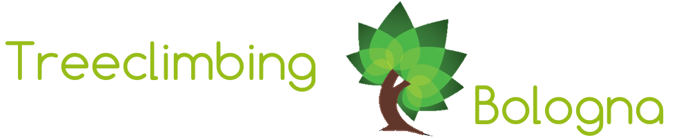 Treeclimbing Bologna